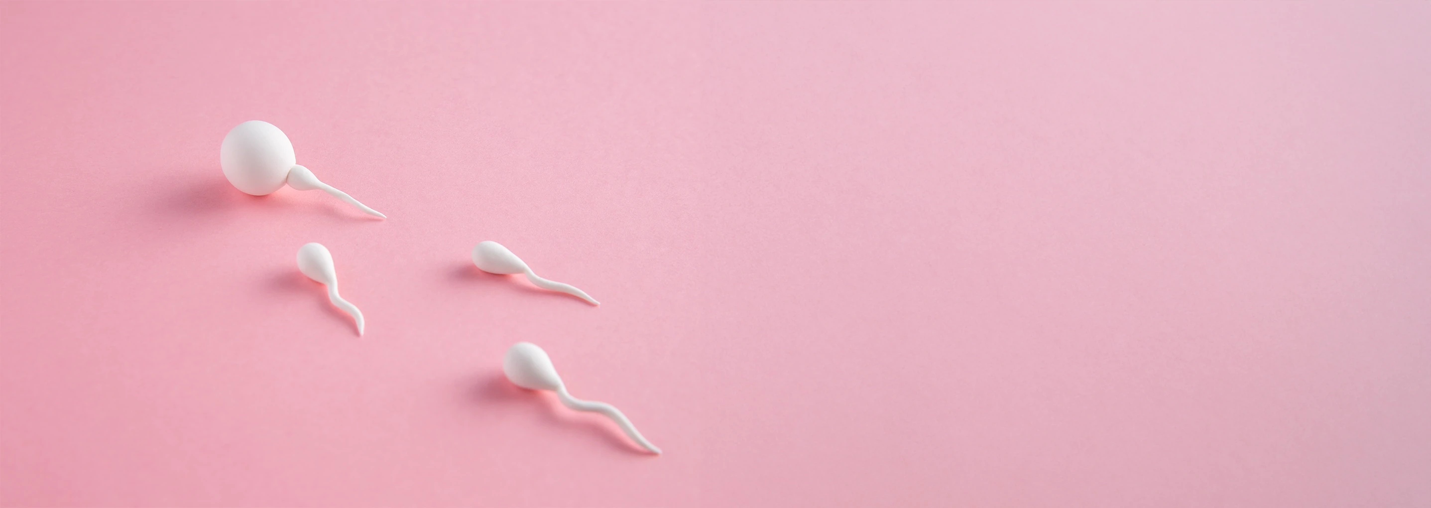 Sperm Freezing