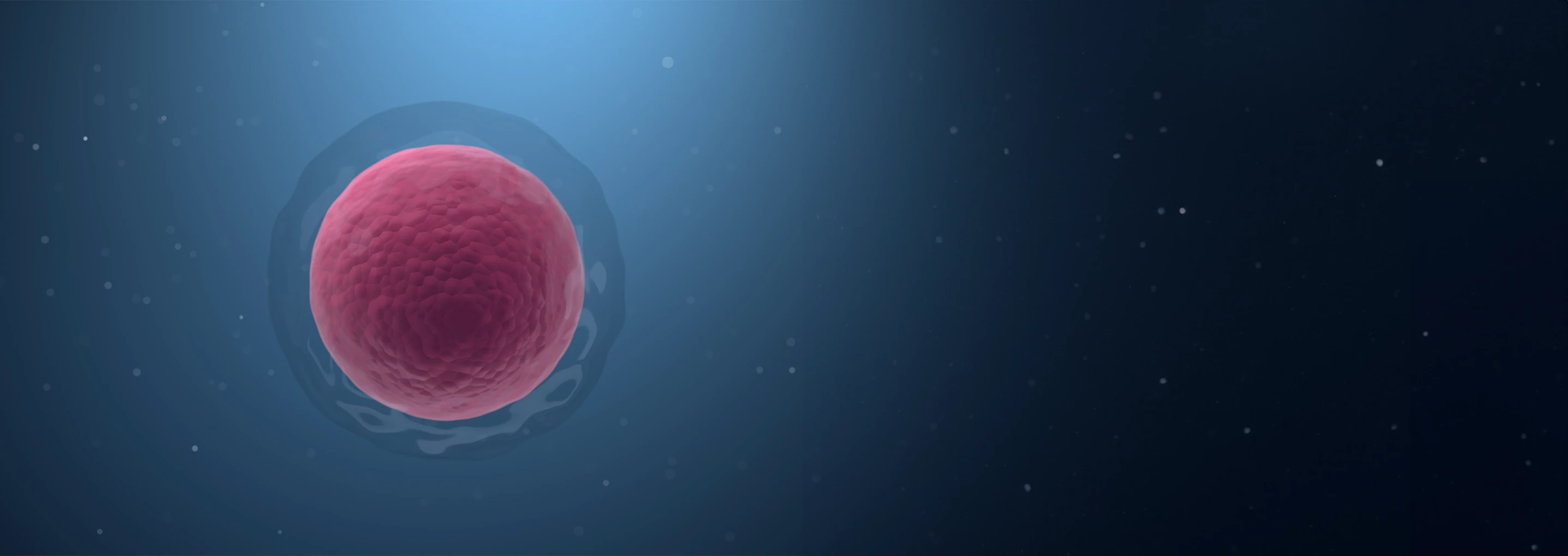Embryo freezing