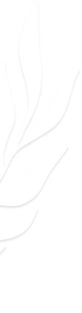 Embryo